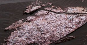 (Créditos: NASA/JPL-Caltech/MSSS).