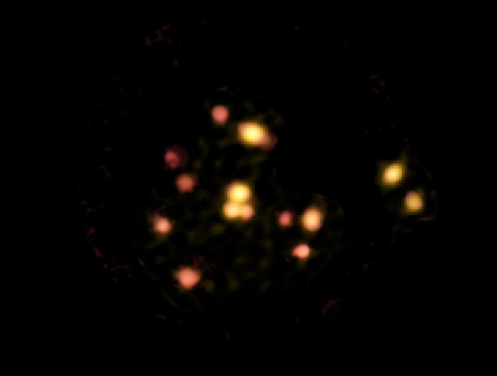 Todas as 14 galáxias no SPT2349-56, fotografadas pelo ALMA. 