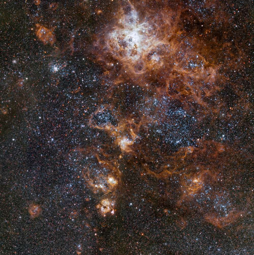 The rich region around the Tarantula Nebula in the Large Magella