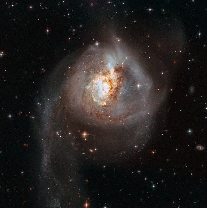 Peculiar galaxy NGC 3256