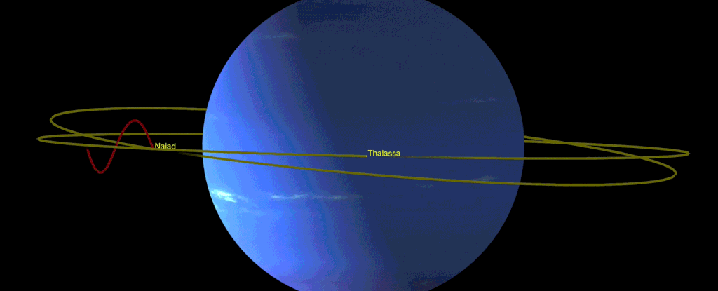 órbita de Lua de Netuno